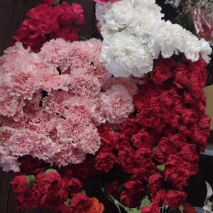 1 Dozen Red Carnations - in a Vase with Baby's Breath