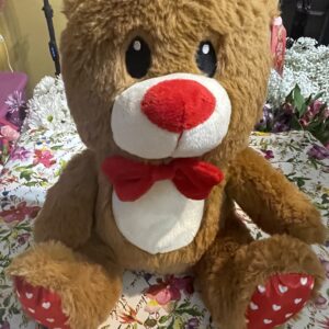 Fiesta Valentine's Day Bear