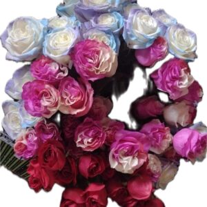 1 Dozen Premium Roses - in a Vase with Baby's Breath