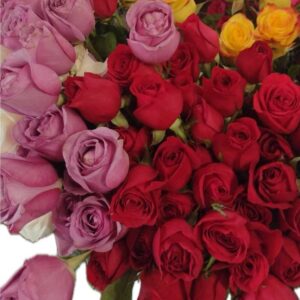 1 Dozen Red Roses - in a Vase with Baby's Breath